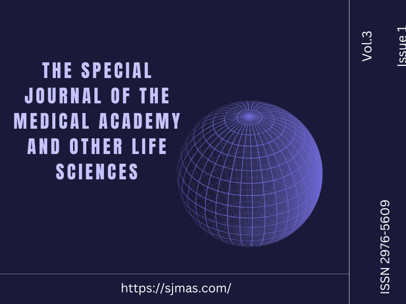 					View Vol. 3 No. 1 (2025): Special Journal of the Medical Academy and other Life Sciences V3N1
				